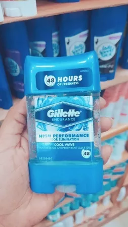 Gillette Endurance High Performance Odor Elimination Gel!