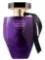 Victoria's Secret Very Sexy Orchid