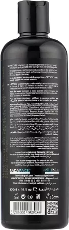 شامبو موديش