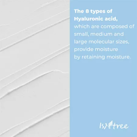 Isntree Hyaluronic Acid Low pH Cleansing Foam