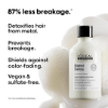 Picture of L'Oreal Metal Detox Shampoo: Transform Your Hair with Ultimate Protection and Shine!