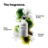 Picture of L'Oreal Metal Detox Shampoo: Transform Your Hair with Ultimate Protection and Shine!