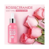 DISAAR ROSE BRIGHT AND REPAIR