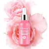 DISAAR ROSE BRIGHT AND REPAIR