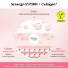 Abib - PDRN Collagen Lip Mask Glazed Jelly - Collagen Lip Mask - 11g