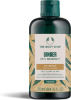 Picture of The Body Shop Ginger Anti Dandruff Shampoo - 400ml