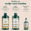 The Body Shop Ginger Anti Dandruff Shampoo - 400ml