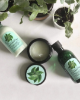 the body shop fuji green tea shampoo
