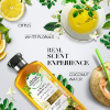 Herbal Essences Renew Smooth Golden Moringa Oil  shmapo