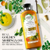 Herbal Essences Renew Smooth Golden Moringa Oil  shmapo