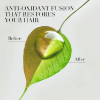 Herbal Essences Renew Smooth Golden Moringa Oil  shmapo