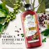 Picture of Herbal Essences Bio-Arabica conditioner