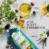 herbal essences argan conditioner