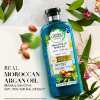 herbal essences argan conditioner