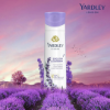 Yardley of London English Lavender Deodorant Body Spray for Women