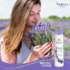 Yardley of London English Lavender Deodorant Body Spray for Women