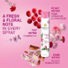 Yardley of London English Rose Deodorant Body Spray - Floral Fragrance